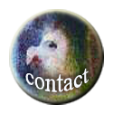 contact en bestellen